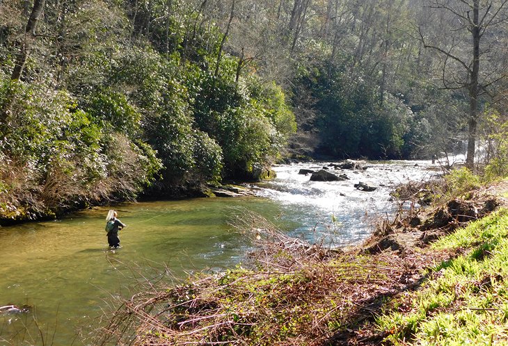 Insider's Guide to the WNC Fly Fishing Trail® - Discover Jackson NC