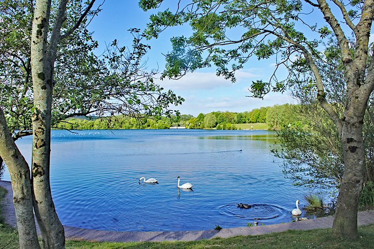 Cosmeston Lakes Country Park