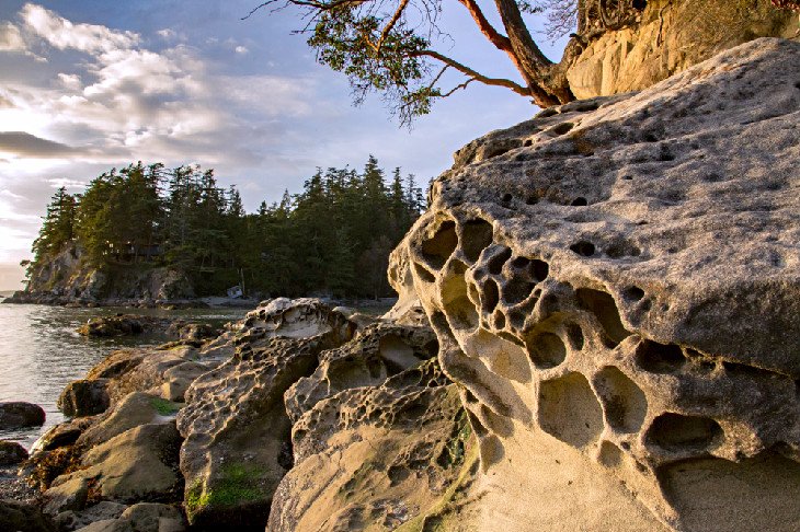 Larrabee State Park