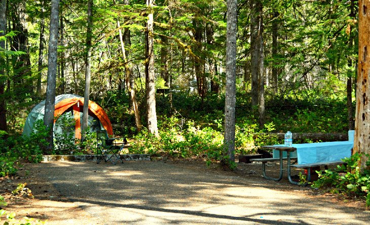 Tent campsite at Goodell Creek Campground