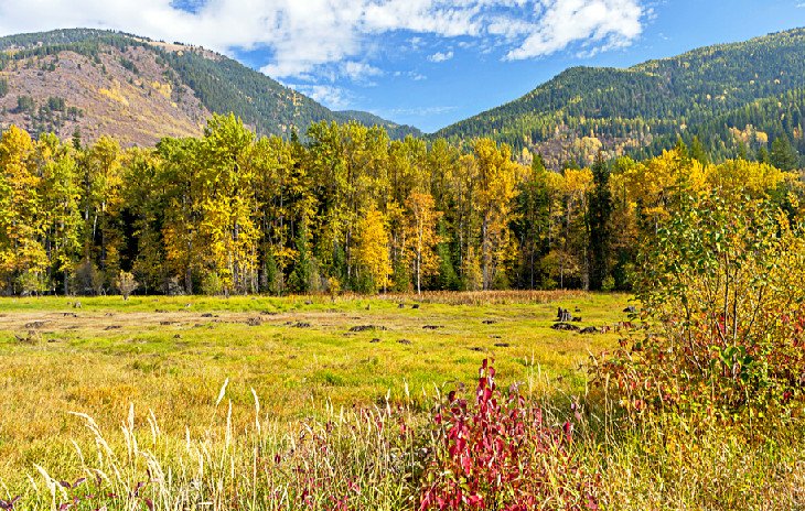 Colville National Forest countryside