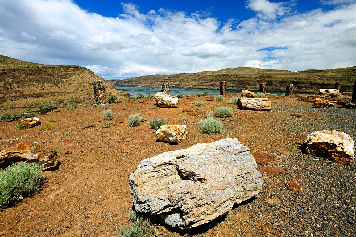 Petrified wood at Ginkgo Petrified Forest State Park