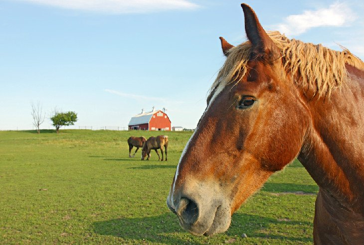 The Farm at Prophetstown