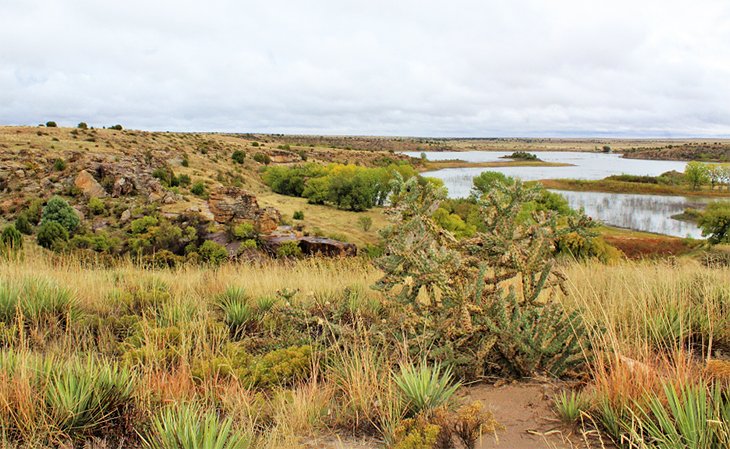 Lac Carl Etling