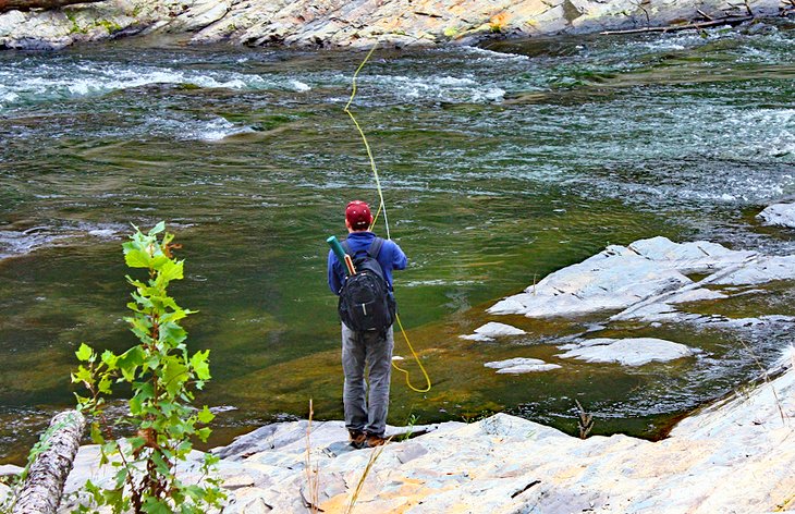 Pêcheur à la mouche à Lower Mountain Fork River