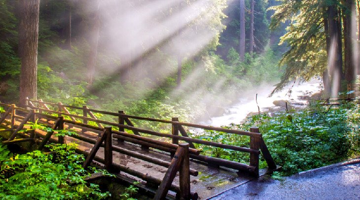 20 atracciones turísticas mejor valoradas en el estado de Washington