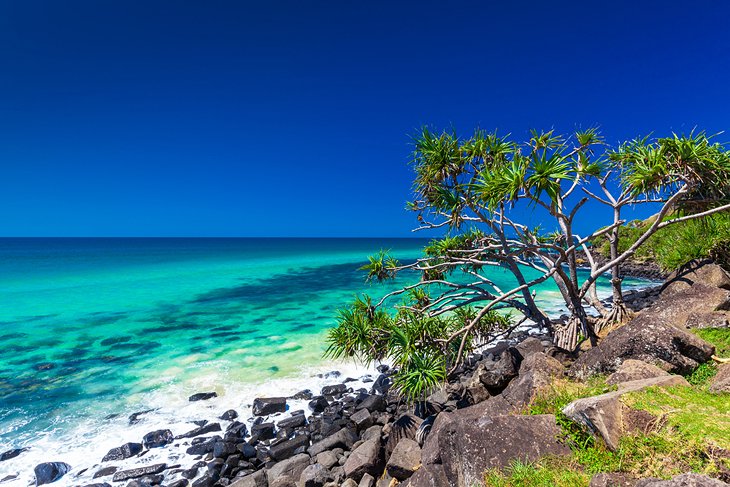 Burleigh Heads National Park