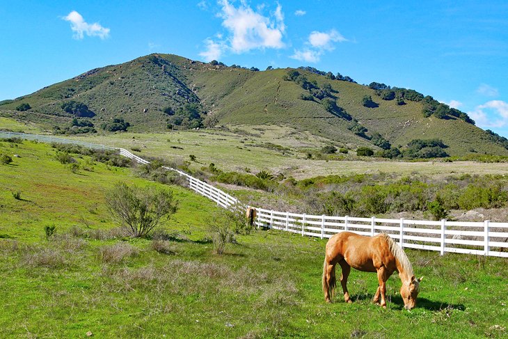 Idyllic countryside around San Luis Obispo