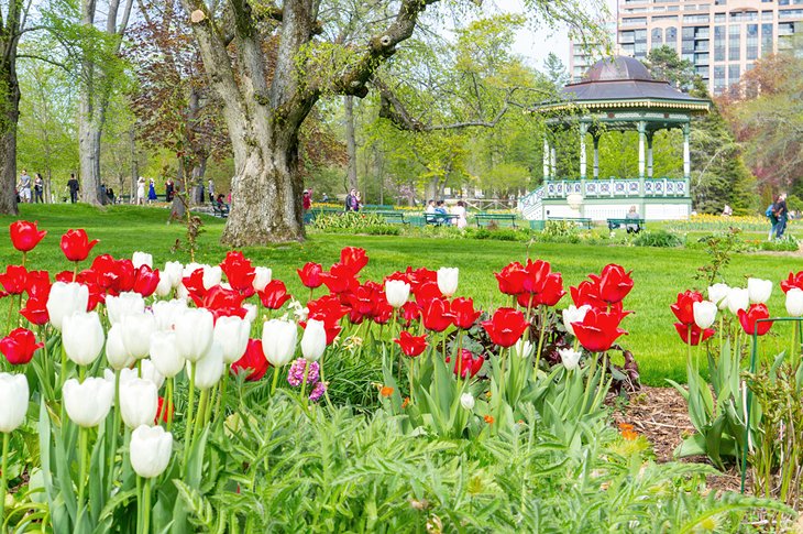 Halifax Public Gardens