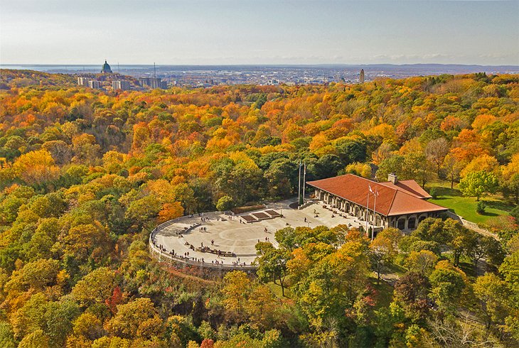 Fall colors in Mount Royal Park