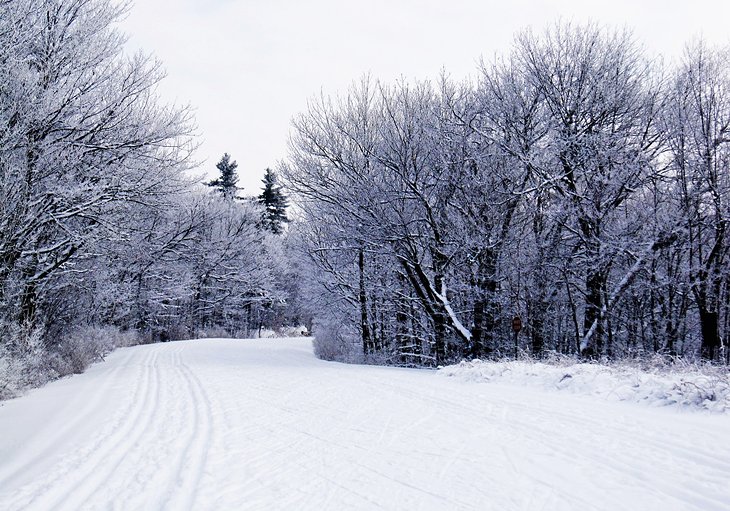 Cross-country ski trail in Gatineau Park