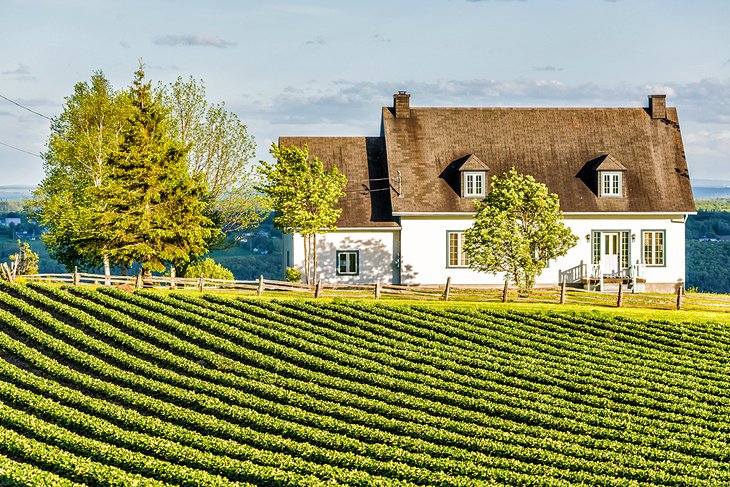 Historic Farm on Île d'Orléans