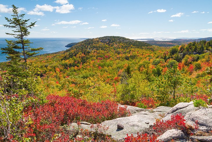 Autumn foliage in Acadia National Park