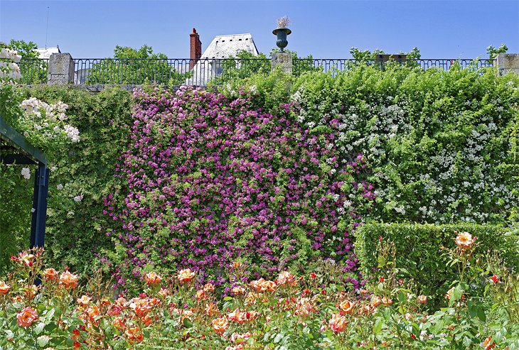 Jardin de Plantes Médicinales