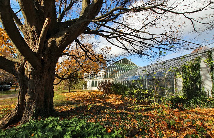 Lamberton Conservatory in Highland Park