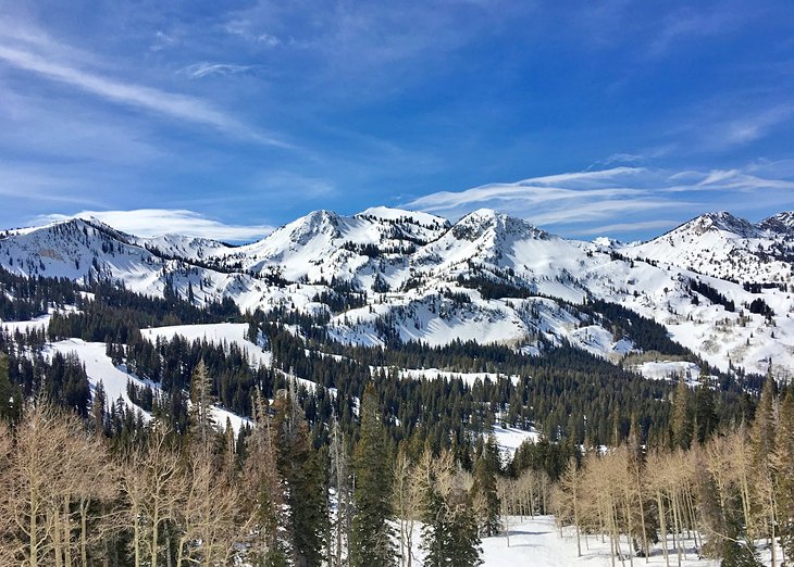 Mountain peaks on a bluebird day at Brighton, Utah