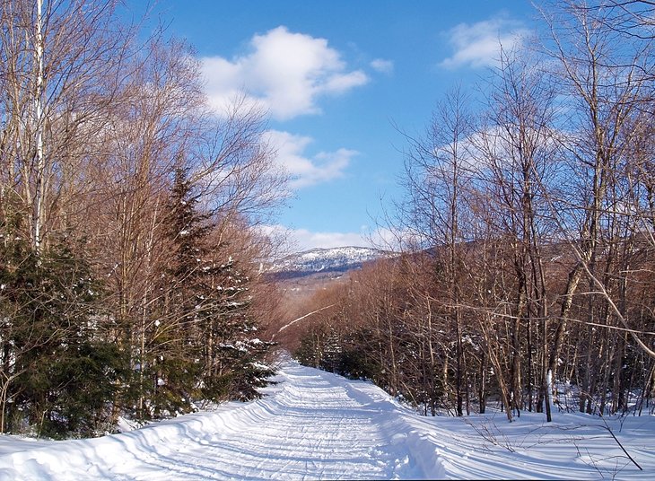 Bolton Valley trail