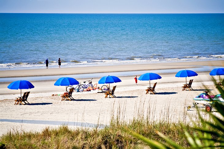 9 Top Rated Attractions Things To Do On Hilton Head Island