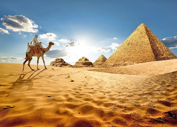 Bedouin riding a camel at the Pyramids of Giza