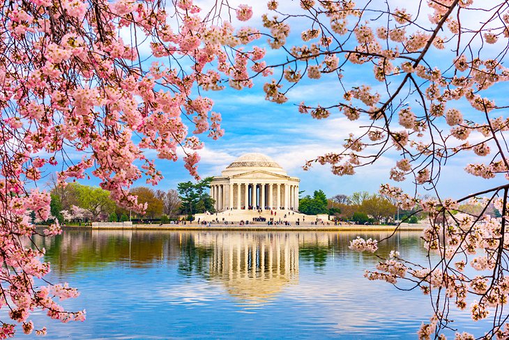 18 atracciones turísticas mejor valoradas en Washington, DC