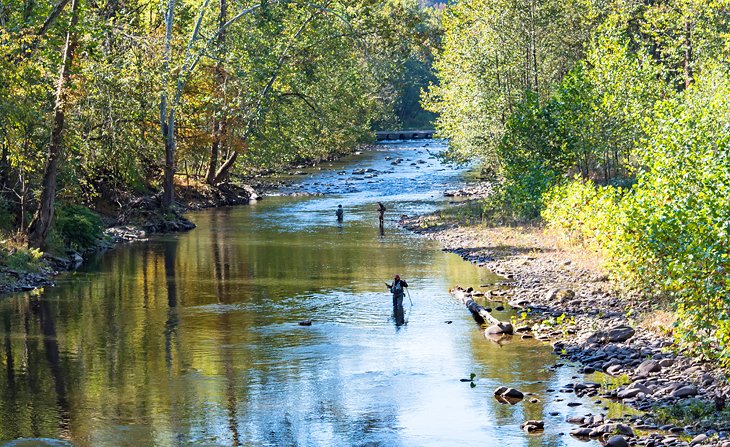 Fly fishing on Seneca Creek