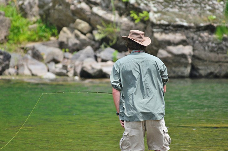 Fly fisherman in West Virginia