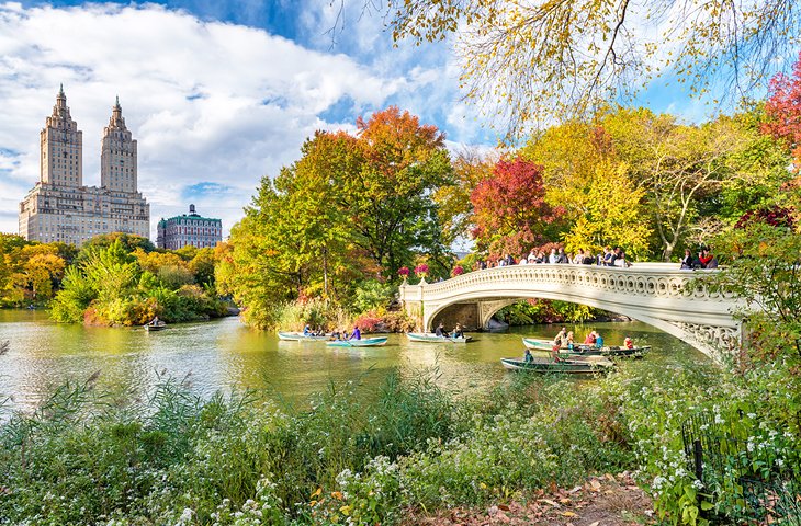 Spring in Central Park