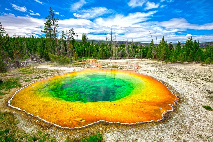 Morning Glory Pool in Yellowstone National Park