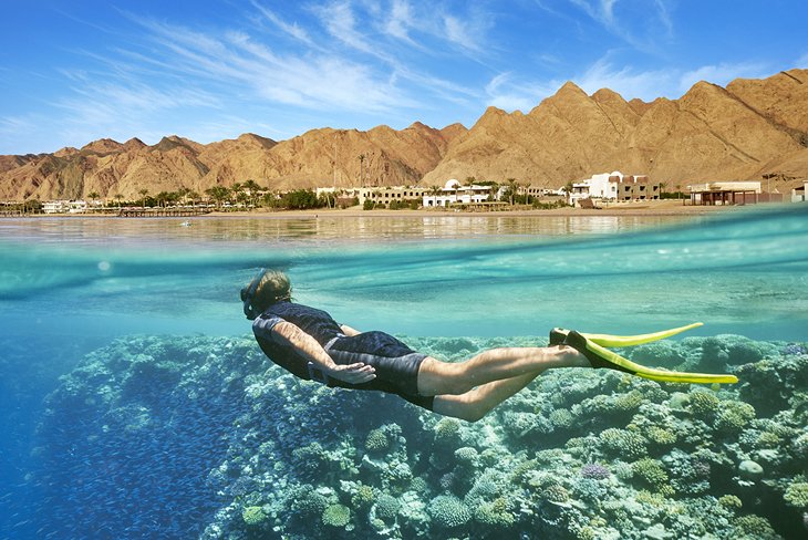 Snorkeling in the Red Sea