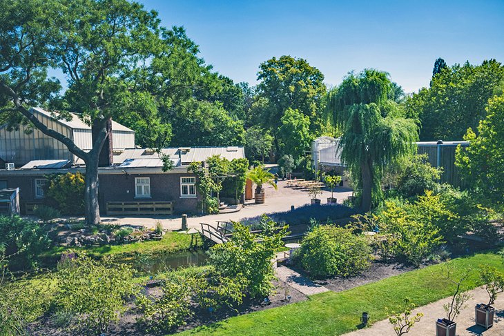 TU Delft Botanical Garden