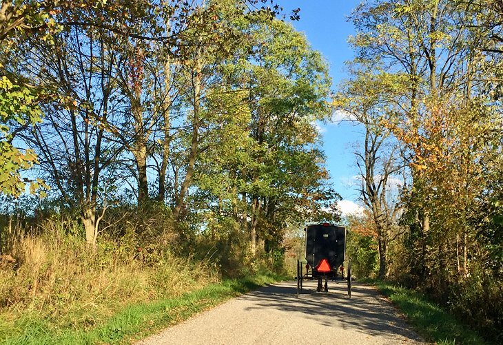 Cheval et buggy en pays Amish