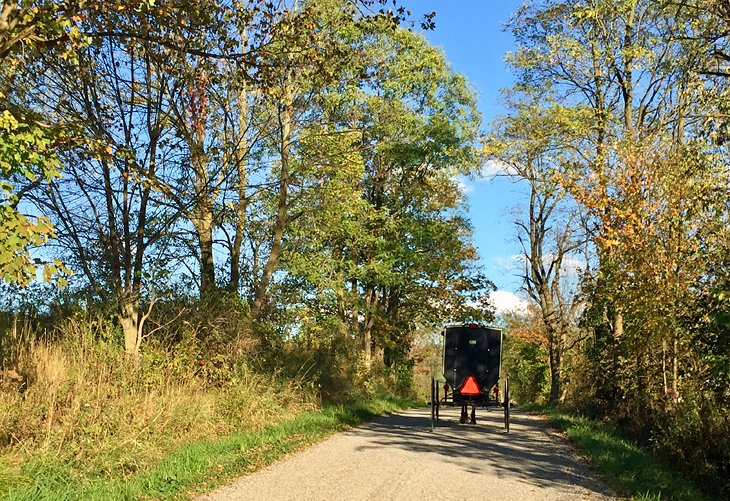 Caballo y buggy en el país Amish