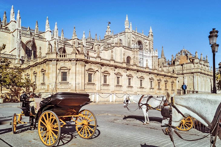 Horse drawn carriages in front of the Seville Cathedral