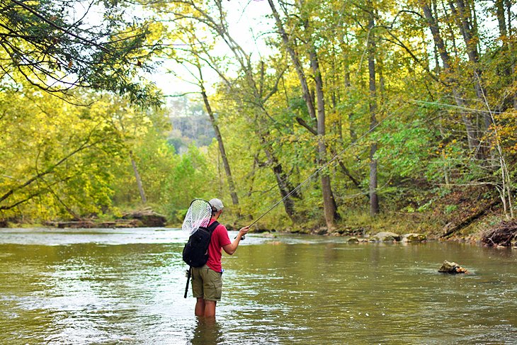 10 ríos y lagos mejor valorados para la pesca de truchas en Virginia Occidental