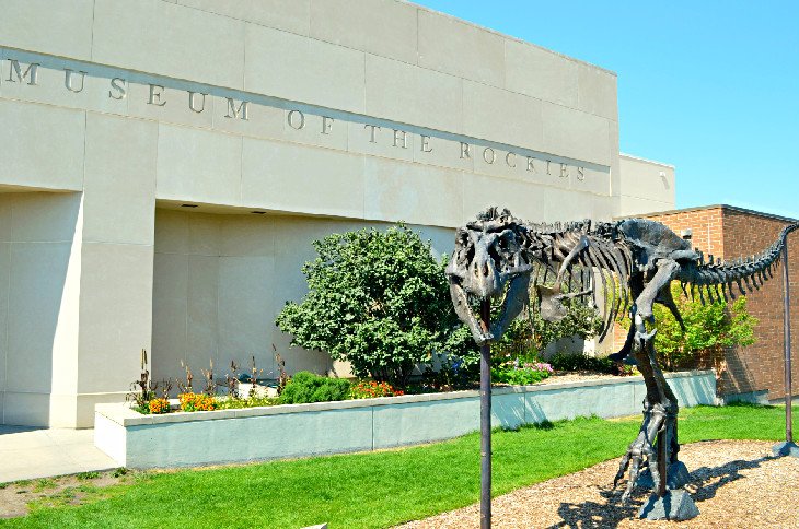 Museum of the Rockies