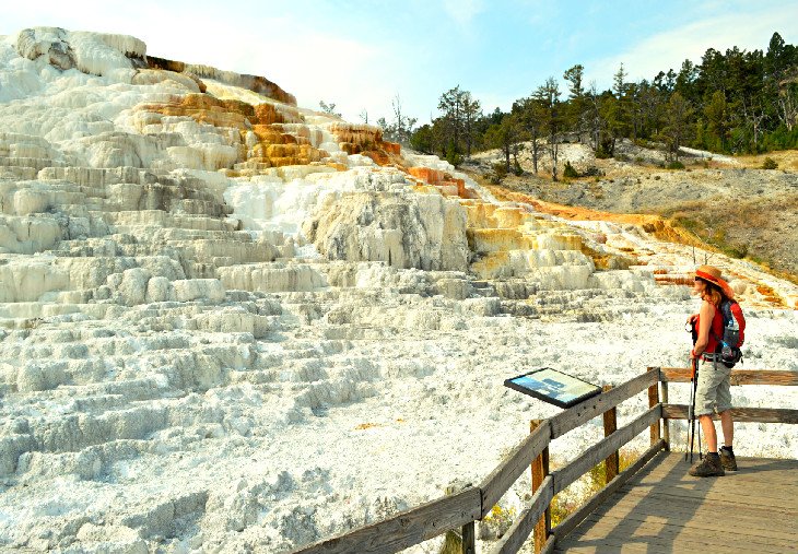 Mammoth Hot Springs