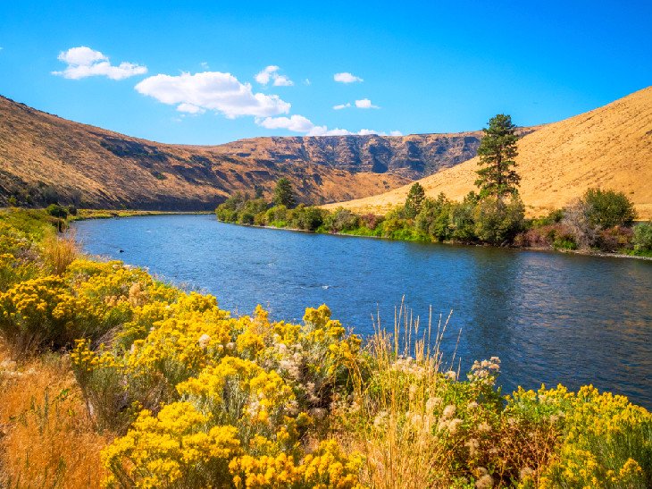 Yakima landscape