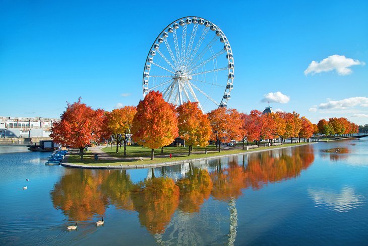The Montreal Observation Wheel