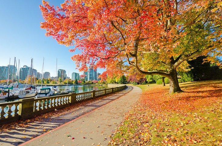 Fall colors in Stanley Park
