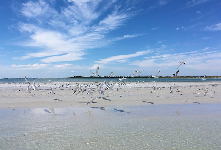 Fort DeSoto State Park