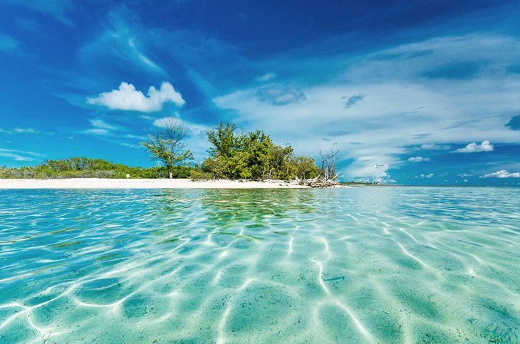 Crystal-clear waters in Bimini, The Bahamas