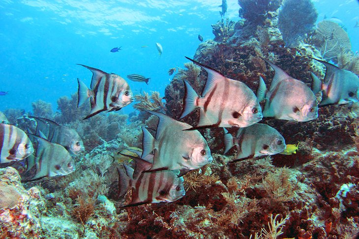 Florida Keys National Marine Sanctuary