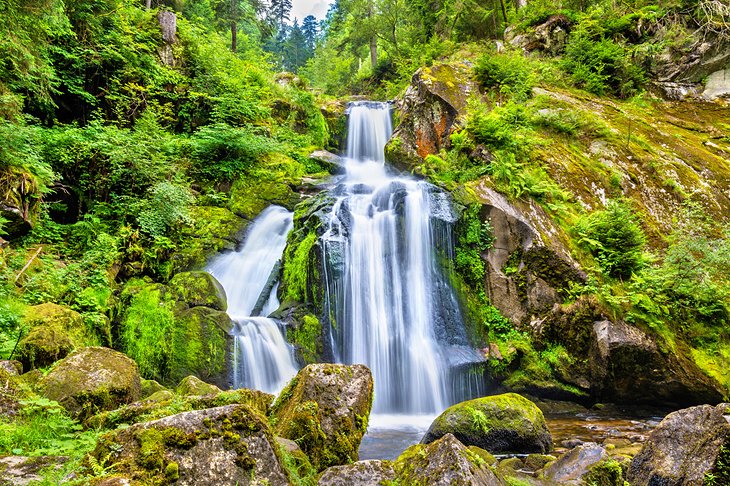 Triberg Waterfalls