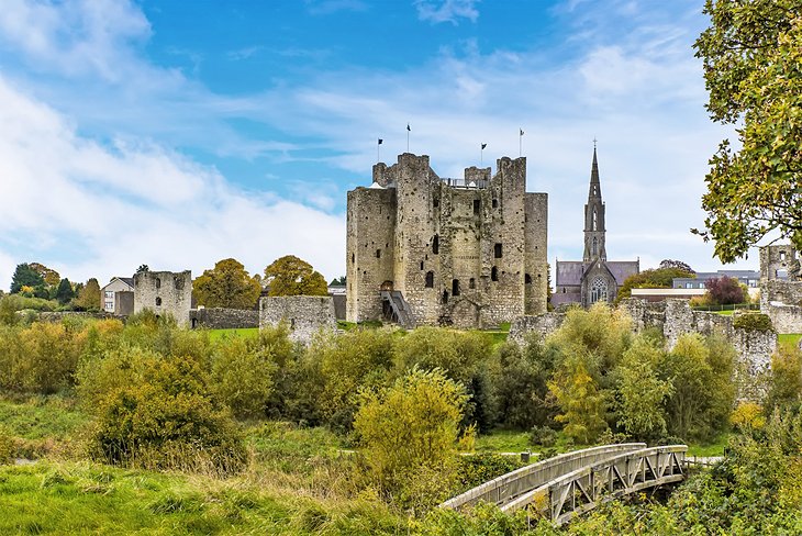 Trim Castle