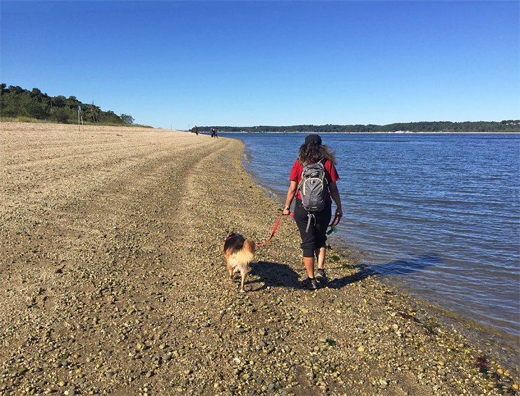 10 playas mejor valoradas en Long Island