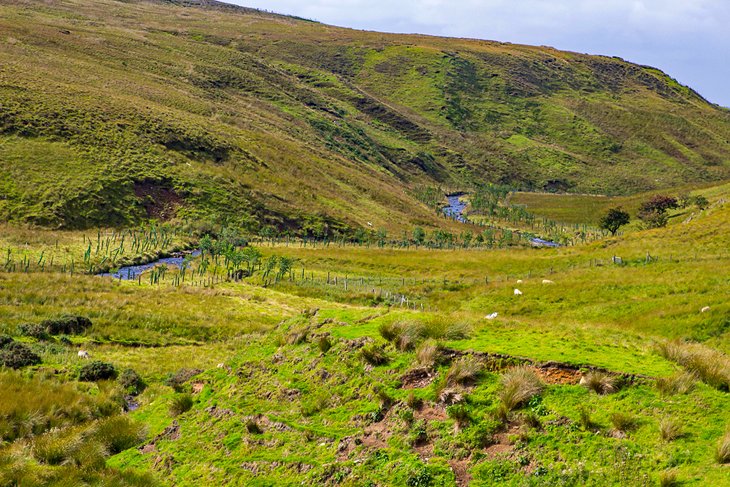 View across the Carn-Glenshane Pass peatland in the Sperrins