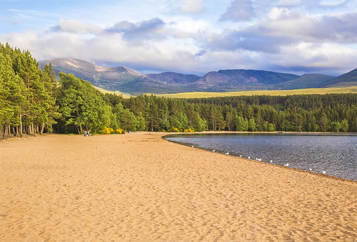 Loch Morlich