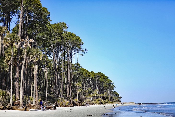 12 playas mejor valoradas en Carolina del Sur