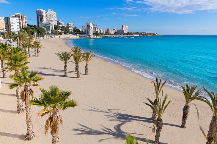 Palm trees on Playa de San Juan