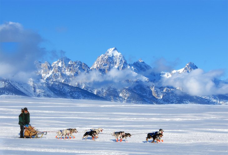 Scenic dog sledding in Alaska